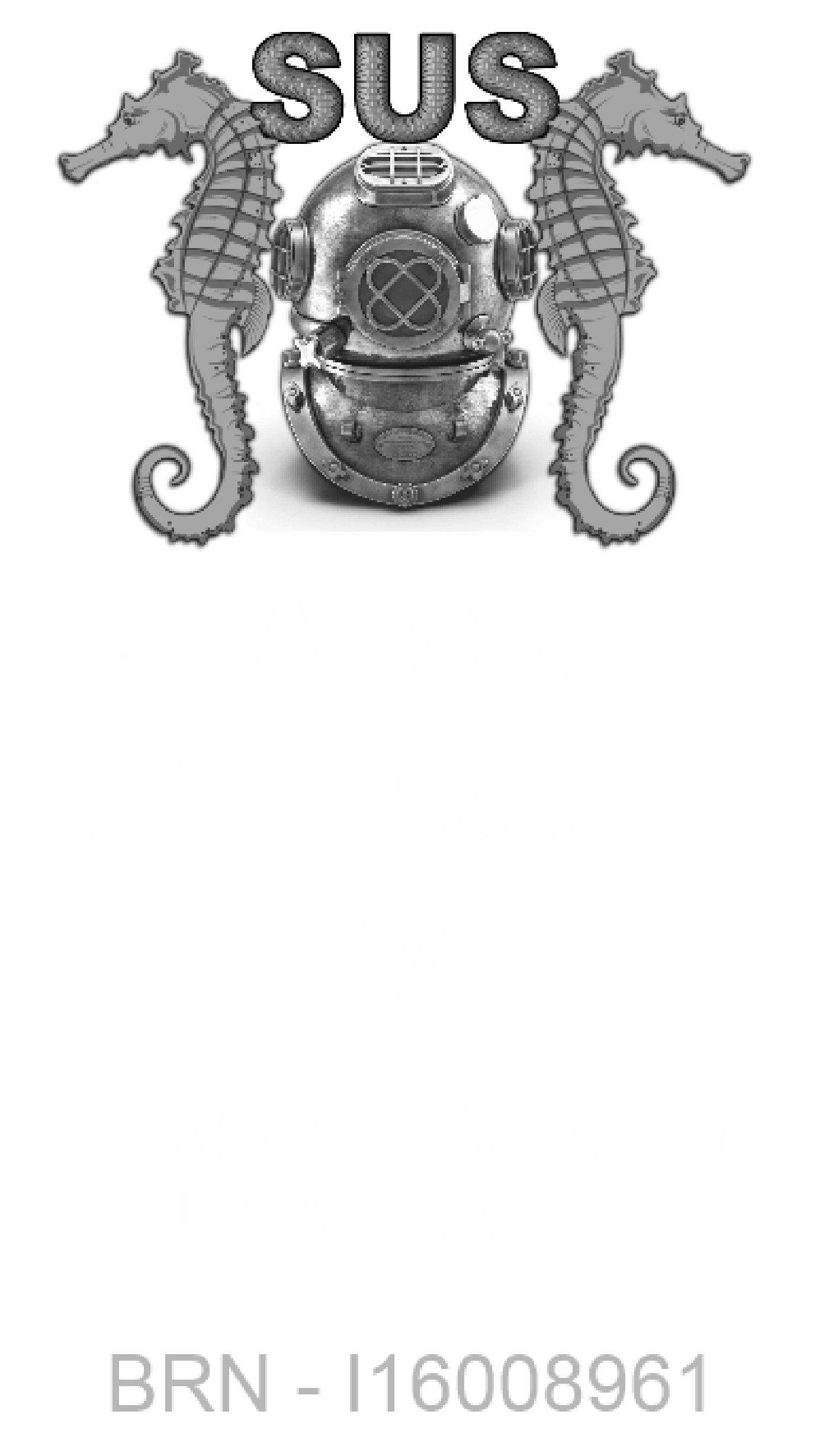 Seahorse Underwater Surveys